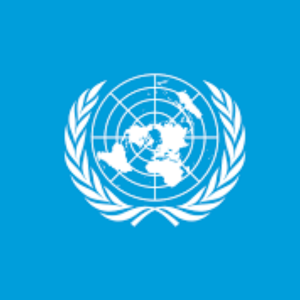 Organisation des Nations unies (ONU)